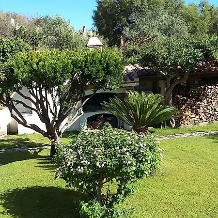 Holiday home Casa Vacanze Orchidea Con Giardino
